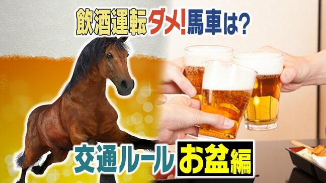 「のろのろ運転は交通違反?」夏休み・お盆で利用の多い高速道路「いまさら聞けない交通ルールはありませんか?」うっかりじゃすまされない違反行為を警察で聞きました|TBS NEWS DIG