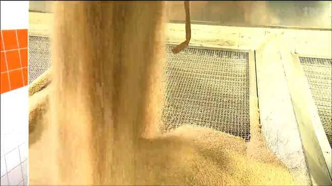 宮城県内の精米工場に政府備蓄米入荷始まる　4月14日以降に出荷へ　|TBS NEWS DIG