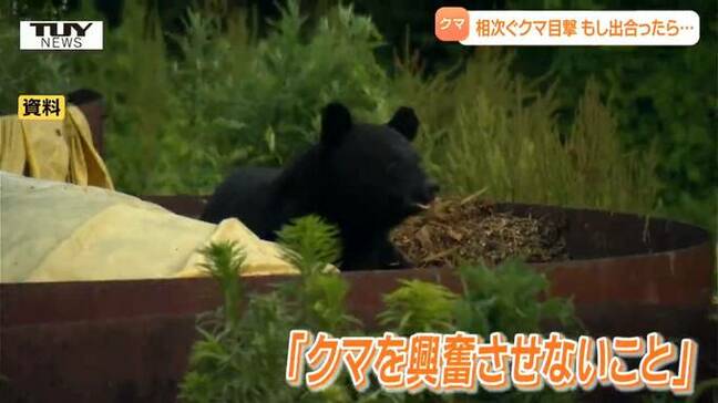 「人の近くはおいしい」クマと遭遇し "逃げられない" 場合は？専門家が教えるクマの習性と、もしもの対処法「テンパったら見境なく襲う」「人を全然恐れていない」（山形）|TBS NEWS DIG