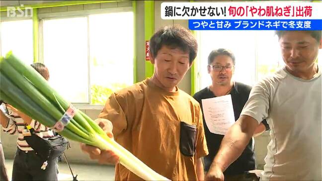 鍋に欠かせない『やわ肌ねぎ』をたっぷりと!ツヤと甘みが自慢の“冬支度” 新潟|TBS NEWS DIG
