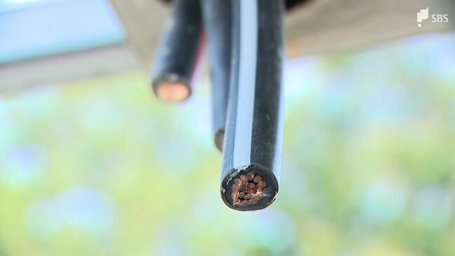 所有者激怒「ネットで検索して調べてきたと思う ふざけるな」止まらぬ金属ケーブル窃盗…5年間で4倍に 素人と思えぬ大胆手口【静岡】|TBS NEWS DIG