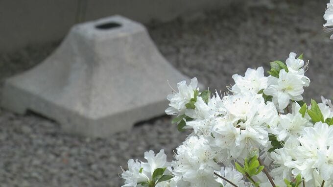 「生まれた時から死んでいた」生後間もない赤ちゃんを殺害して実家の庭に遺棄…26歳母親は殺人について無罪主張 ネットでは「赤ちゃん死ぬ・殺す」と検索も 医師は「頭部に強い力で複数回も打撃を受けている」と証言|TBS NEWS DIG