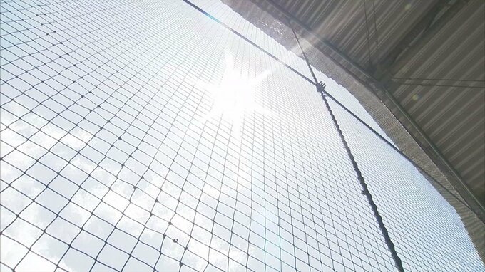 野球部関係者に感染拡大　出雲商業が夏の高校野球島根大会出場辞退　|　BSSニュース | BSS山陰放送