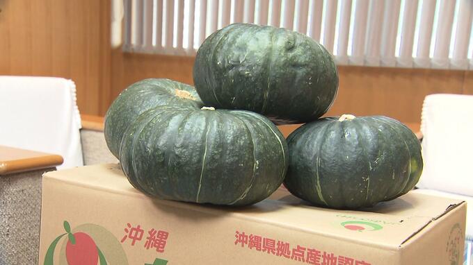 希少な品種のカボチャ「栗五郎」200キロを学校給食用にプレゼント　南風原町　|　沖縄のニュース｜RBC 琉球放送