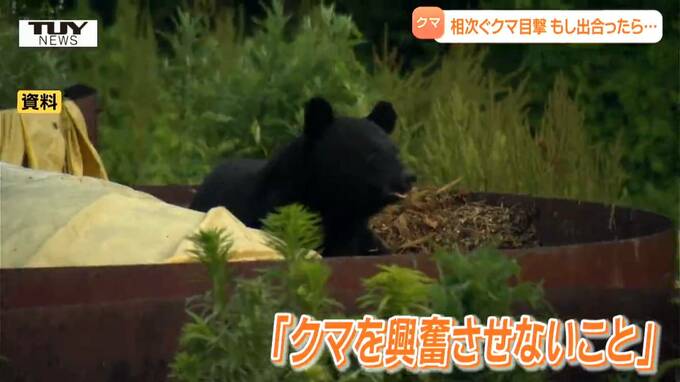 「人の近くはおいしい」クマと遭遇し "逃げられない" 場合は？専門家が教えるクマの習性と、もしもの対処法「テンパったら見境なく襲う」「人を全然恐れていない」（山形）|TBS NEWS DIG