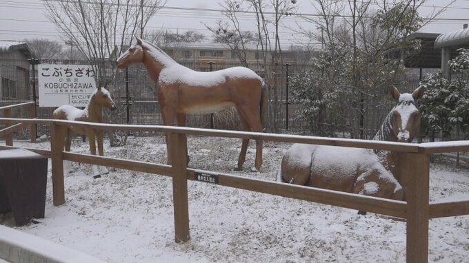 山梨県内は広い範囲で雪　気象台は路面の凍結などに注意を呼びかけ　　|　山梨のニュース | ＵＴＹテレビ山梨