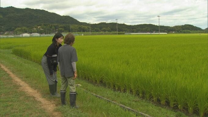 コメ増産へ方針転換　困惑する農家も「荒廃地、後継者不足…政府が言うような簡単な方にはならないと思います」　|　BSSニュース | BSS山陰放送