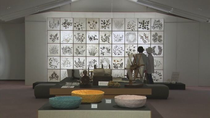 草木を押し花に…和紙に挟んだ大作「草木たちの集い」石州勝地半紙を使った現代アートの作品展　|　BSSニュース | BSS山陰放送