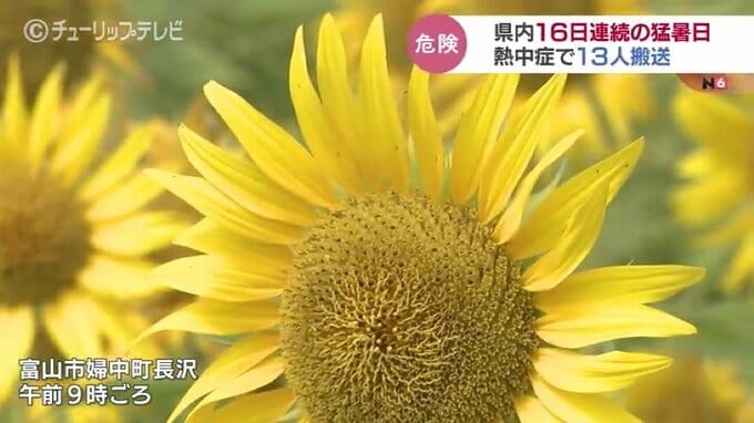 富山は16日連続の猛暑日　熱中症とみられる症状で男女13人を搬送　8日もこまめな水分補給を|TBS NEWS DIG