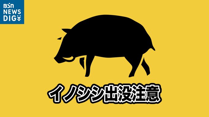 「イノシシがいて作業ができない…」ナシ畑にイノシシ　周辺では1か月以上にわたり目撃情報　新潟・秋葉区　|　新潟のニュース・天気｜BSN NEWS｜BSN新潟放送