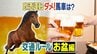 「のろのろ運転は交通違反？」夏休み・お盆で利用の多い高速道路「いまさら聞けない交通ルールはありませんか？」うっかりじゃすまされない違反行為を警察で聞きました　|　山口のニュース・天気・防災｜tys NEWS｜ｔｙｓテレビ山口