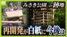 閉園から６年「みさき公園」　跡地活用で事業者と契約も一転白紙に…町と事業者の主張が対立　かつては年間９６万人来場のレジャー施設　賑わい取り戻す日はいつ？　|　MBSニュース | 関西の最新ニュースを分かりやすく。