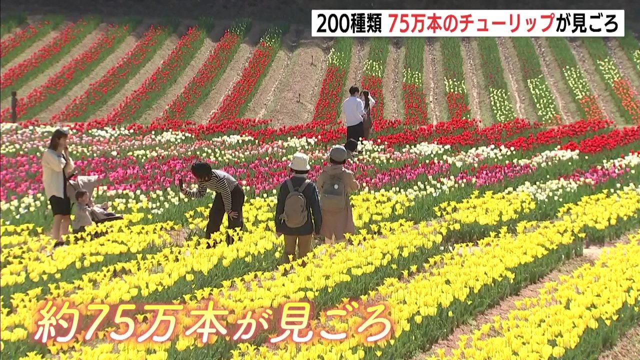 JCの芋セーラーわいせつ画像