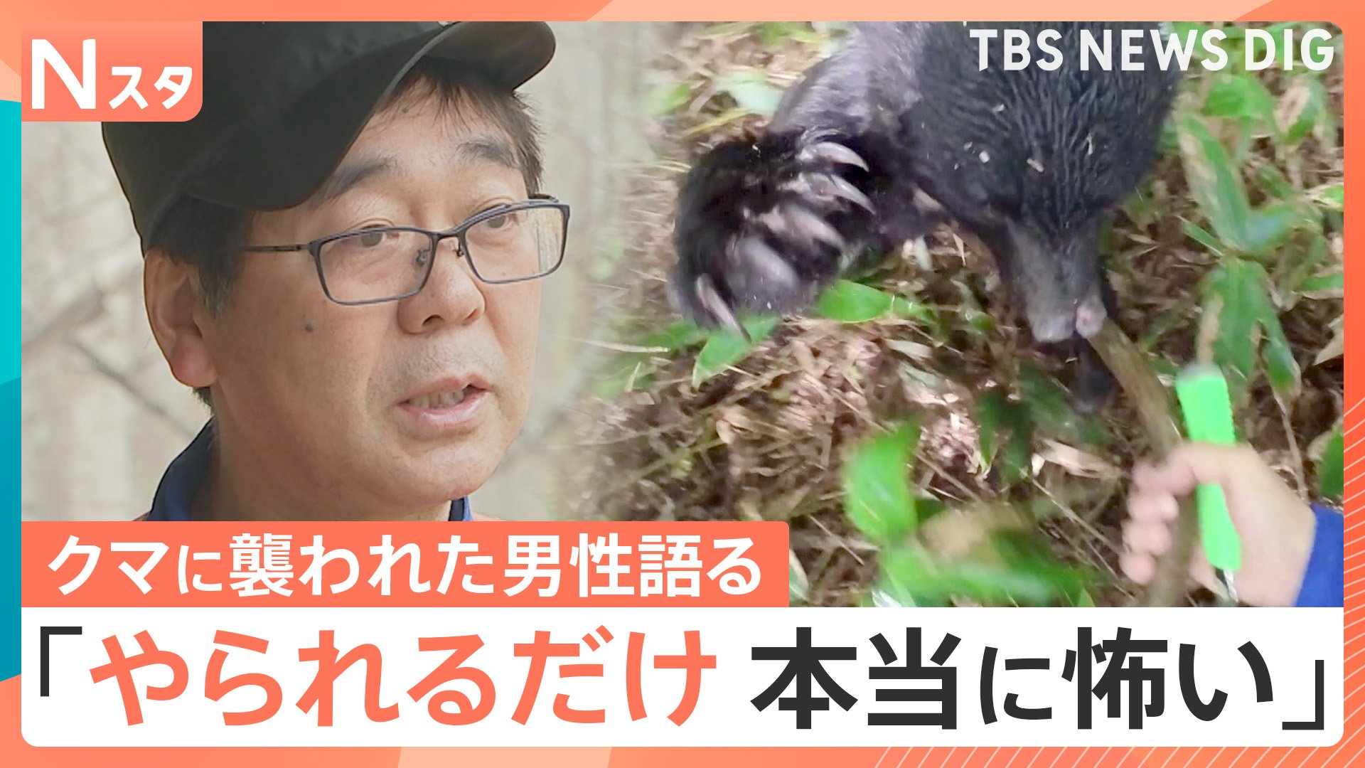 苦手からの回復強い想いを込めたクマさんオルゴナイト 公式ネットショップ