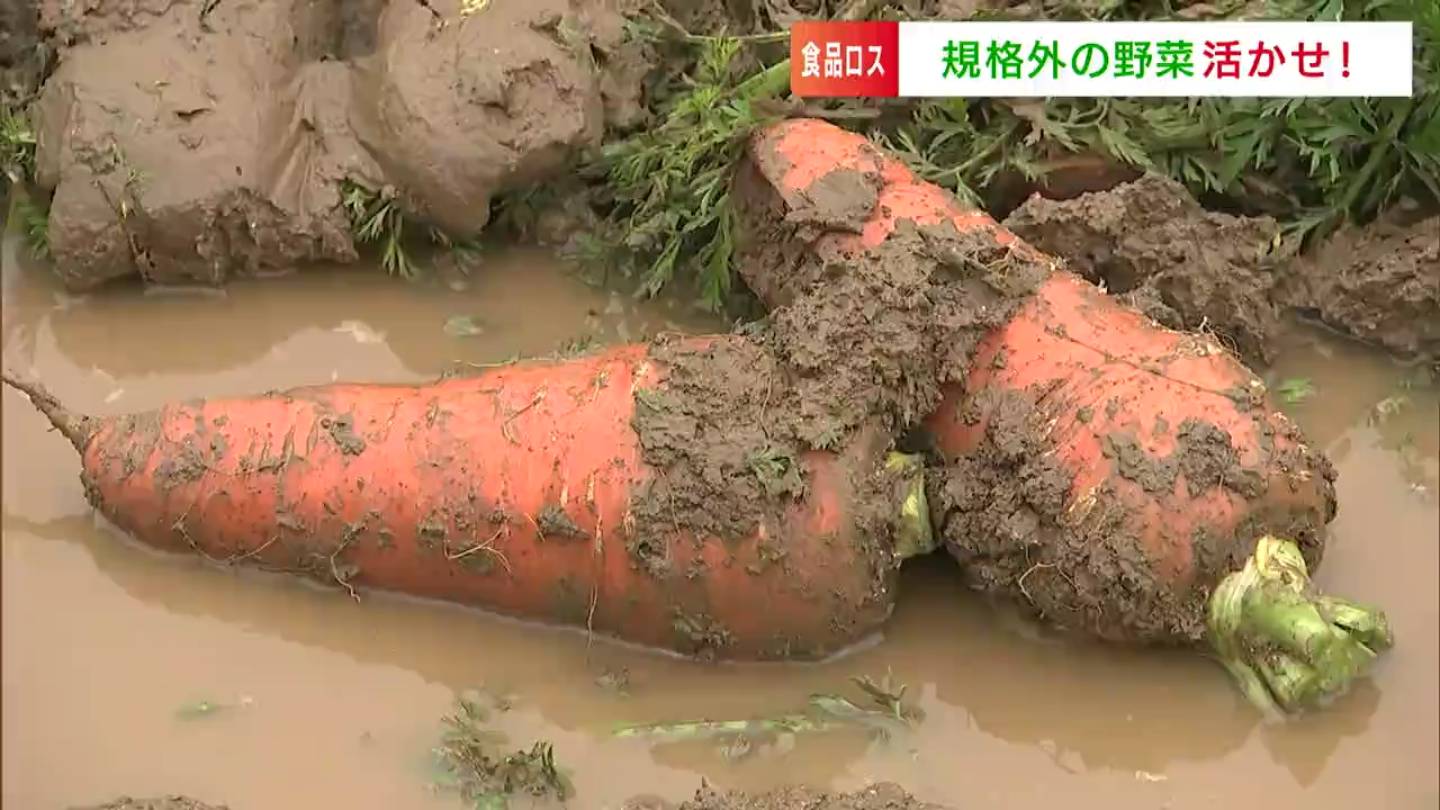 十分食べられるニンジンが捨てられる」→調理師免許持つ女性が