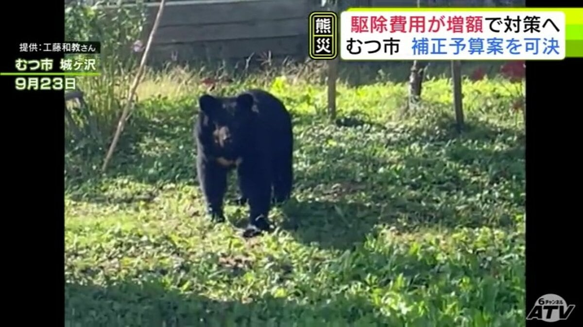 クマ」駆除費用を増額して対策へ クマの捕獲頭数が2024年の40倍以上の