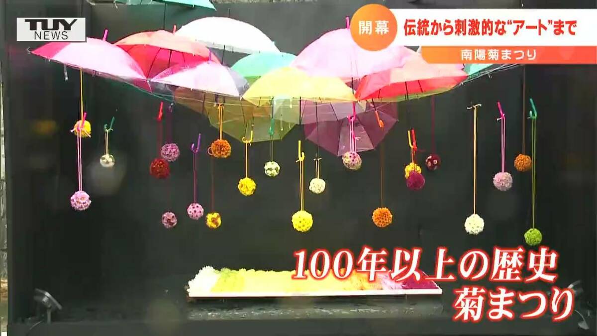 現代的なアート作品も！伝統の“菊まつり”菊人形にとどまらない“刺激