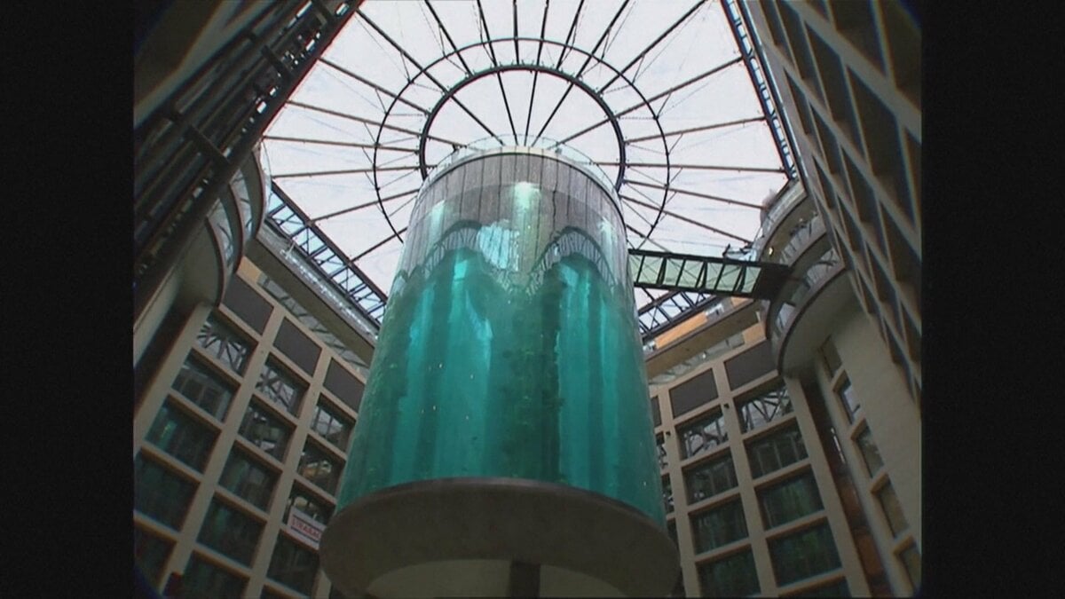 大人気！泡の出が違う！大型水槽に威力を発揮。偽物には注意！ ドイツで世界最大級の水槽大破 建物を破壊し、周辺道路も封鎖 | TBS