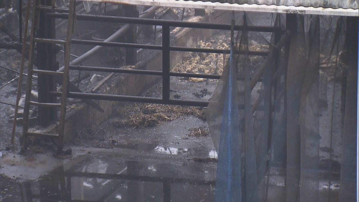 ｢火が出ている｣ と119番通報 牛舎で火事…3棟のうち1棟が焼ける 牛は１週間前から“不在”で無事 三重･大紀町