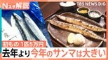 秋の味覚「サンマ」が初競り1キロ25万円の過去最高値 高値の理由は「鮮度」と「コスト」【Nスタ解説】|TBS NEWS DIG