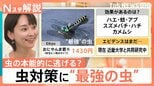 “リアルすぎるのは…”こだわった、オニヤンマの“虫よけグッズ”大ヒット 虫の活動期間拡大で、アイテム続々【Nスタ解説】|TBS NEWS DIG