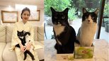 【 ねこ 】藤あや子さん　お中元は “新品種” 「白黒のシャインマスカット」愛猫マル＆オレオが箱を占領|TBS NEWS DIG