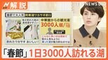 春節休暇で観光客が殺到…北海道の東側"道東"エリアがアツい!阿寒湖に1日3000人【Nスタ解説】|TBS NEWS DIG