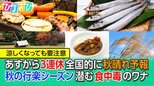 秋の行楽シーズンに潜む“食中毒のワナ” 食中毒対策を専門家&管理栄養士がW解説【ひるおび】|TBS NEWS DIG