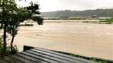 台風12号 鹿児島県本土を横断し熱低へ 線状降水帯おそれなくなる|TBS NEWS DIG