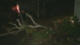 強い台風13号 奄美で猛烈な雨…総雨量は平年ひと月の8割に 土砂災害・高波に警戒 鹿児島 | 鹿児島のニュース|MBC NEWS|南日本放送