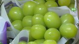 シャインマスカットの出荷量増加が要因 山梨県産の果実販売額が過去20年で最高となる | 山梨のニュース | UTYテレビ山梨