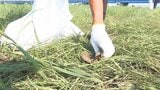 「おおいた『夢』花火」から一夜明け 会場周辺で地域住民やボランティア50人が清掃活動 | 大分のニュース|OBS NEWS|大分放送