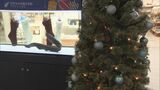 デンキウナギが起こすクリスマスツリーの光と音楽　岐阜県各務原市の水族館「アクア・トトぎふ」でお出迎え|TBS NEWS DIG