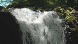 “涼を求めて” 富士吉田市民の夏の癒しスポット・鐘山の滝|TBS NEWS DIG