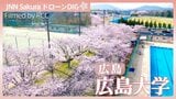 桜のキャンパス【JNN sakuraドローンDIG 2026】|TBS NEWS DIG