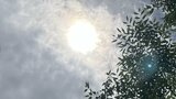 最高気温 大月33.8度、河口湖32.0度 すでに3地点で今年一番の暑さ 熱中症に注意 山梨【午前11時30分現在】 | 山梨のニュース | UTYテレビ山梨