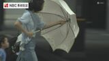 夕方にかけて非常に激しい雨・突風のおそれ　対馬市の厳原で76ミリの雨（24時間）海上シケで高速船が欠航　|　長崎のニュース | 天気 | NBC長崎放送