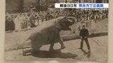 絵本、ポスター、殺処分されたゾウの骨…約200点が伝える“戦時下の日常” | 熊本のニュース|RKK NEWS|RKK熊本放送