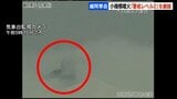 北海道・雌阿寒岳が小規模噴火…火口から約500ｍ範囲は大きな噴石に警戒必要　噴火警戒レベル2継続　去年10月25日以来　気象庁|TBS NEWS DIG