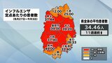 インフルエンザ患者が11週連続で増加 岩手県 奥州、宮古、盛岡市など6保健所管内で「警報」レベル 新型コロナ患者も2週連続増|TBS NEWS DIG