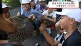 鳥を愛する心を 日向市東郷町の小学生が「キジ」を放鳥 | MRTニュース | MRT宮崎放送
