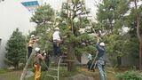 街なかも冬の装いに 街路樹の雪吊り作業はじまる　|　石川県のニュース｜MRO北陸放送