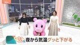 【4月8日 関東の天気】夜から気温グッと下がる|TBS NEWS DIG
