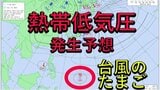 台風のたまご(熱帯低気圧)が発生予想 週末は爆弾低気圧で大荒れのところも【雨風シミュレーション】|TBS NEWS DIG