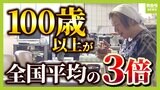 【長生きの秘訣】健康食のポイントは「腸内細菌」1日にキャベツ1.4玉分の食物繊維が必要!?“長寿の町”京丹後の暮らしに学ぶ運動・食事【専門家の見解】|TBS NEWS DIG