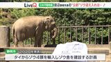 「動物園からゾウが消える?」日本平動物園の人気者シャンティ“天国”へ 残るは1頭のみ「ファミリーを迎える」静岡市長の公約進捗は?(静岡県) | 静岡のニュース | SBSNEWS | 静岡放送
