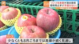 「高いけどさらに上がる」過去最低の生産量でリンゴの価格が高騰中　買い時は…イマ？|TBS NEWS DIG