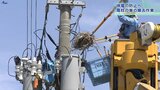 「カラスの巣」の撤去を公開 東北電力NW 停電の原因にも 岩手・矢巾町 |TBS NEWS DIG