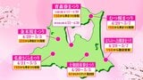 桜は早咲き！青森県内のさくらまつり開催情報2023年　前倒しで出店営業のまつりも　弘前公園は15日から「準まつり体制」|TBS NEWS DIG