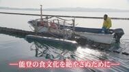 「事業承継の二刀流」カキ養殖と運送取次業 被災地能登の事業承継・「100年超える歴史の酒蔵」「愛される町中華」震災が浮彫にする高齢化、過疎化 「育まれた生業の灯を絶やさぬために」　|　石川県のニュース｜MRO北陸放送